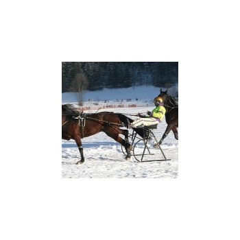 01. Pferderennen Mayrhofen