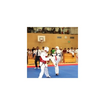 15. Taekwondo Meisterschaften Tirol - Mayrhofen- Teil 2
